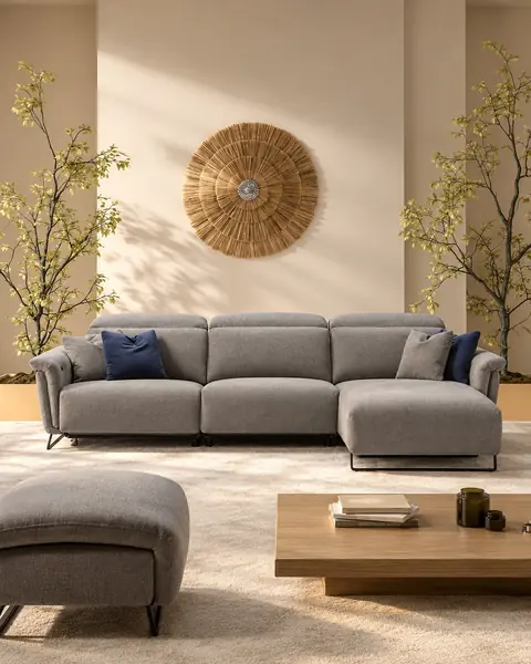 Ashley Sofa